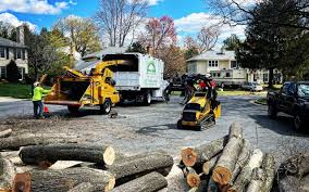 Seasonal Cleanup (Spring/Fall) in Stinnett, TX