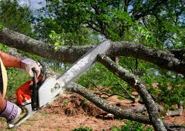 Best Aeration Services  in Stinnett, TX