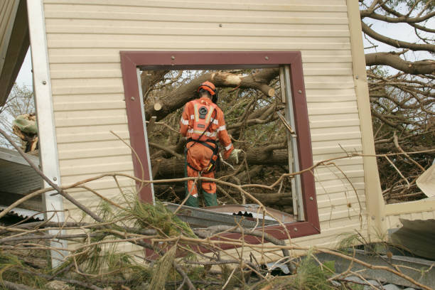 Best Tree Trimming and Pruning  in Stinnett, TX