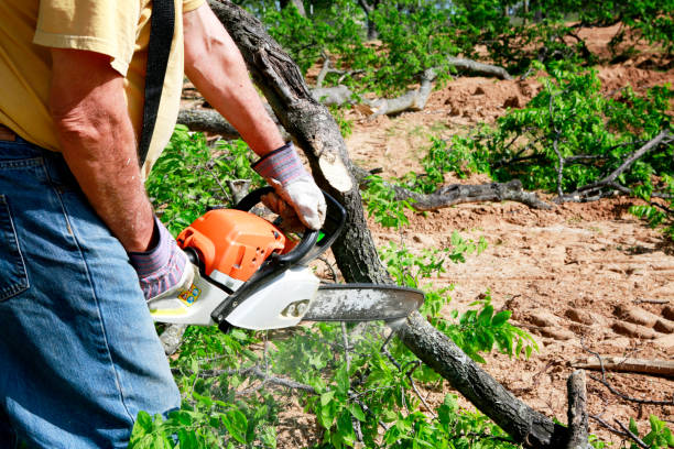 Best Weed Control  in Stinnett, TX